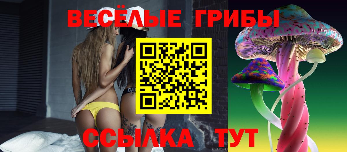 Минусинск  Галлюциногенные грибы Magic Shrooms  Вход с VPN  Псилоцибиновые грибы GOLDEN TEACHER 